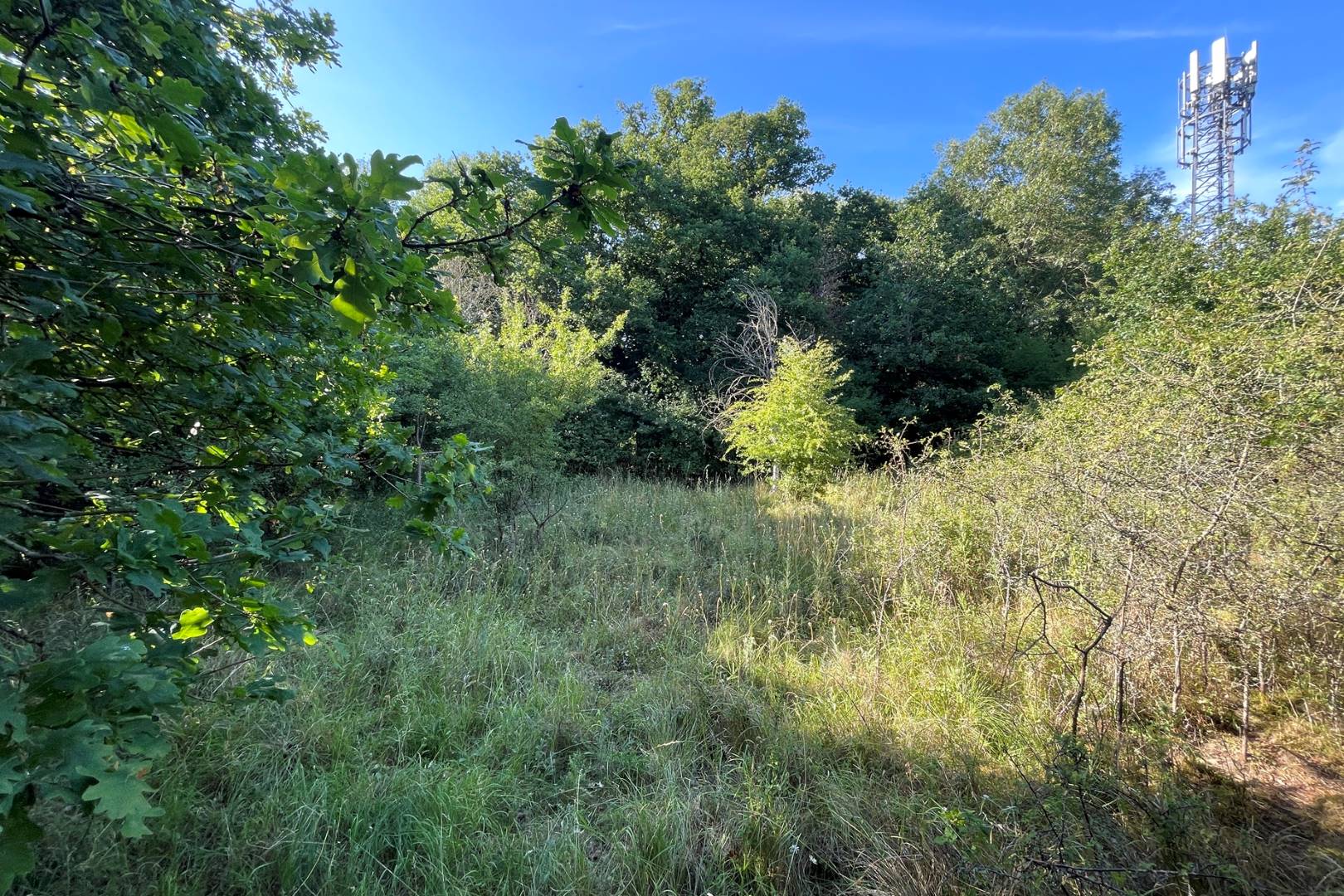 Land at Oxford Road, Wendlebury, Oxfordshire, OX25 3QE