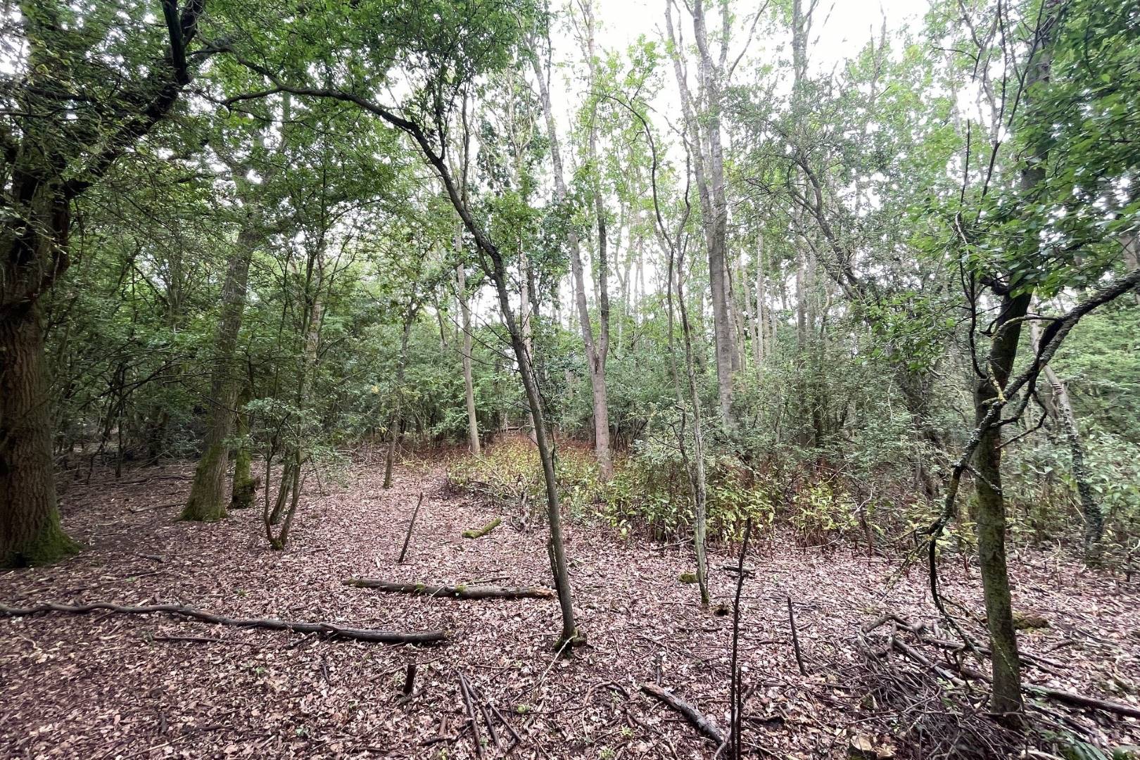 Land Opposite 153 Box End Road, Bromham, Bedford, MK43 8LU