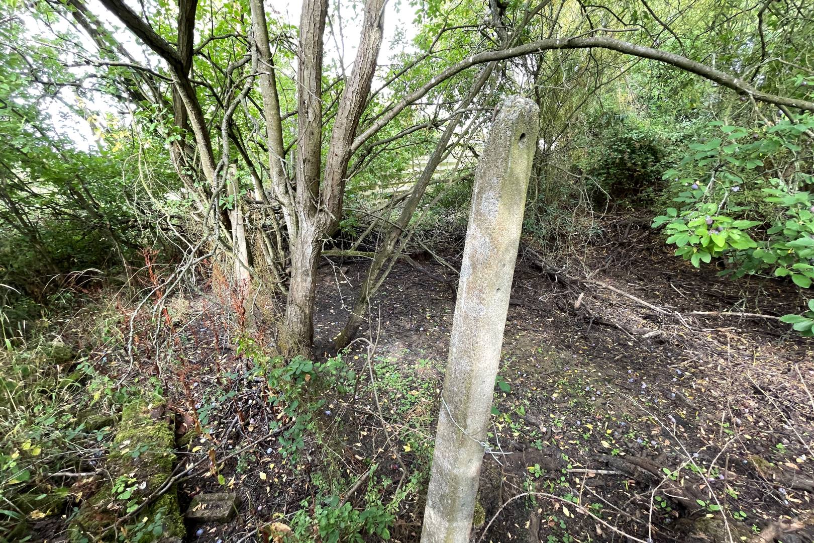 Land To The Side And Rear Of, 94 Cotton End Road, Wilstead, Bedford, MK45 3DD