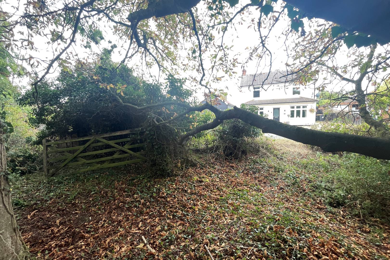 Land To The Side And Rear Of, 94 Cotton End Road, Wilstead, Bedford, MK45 3DD