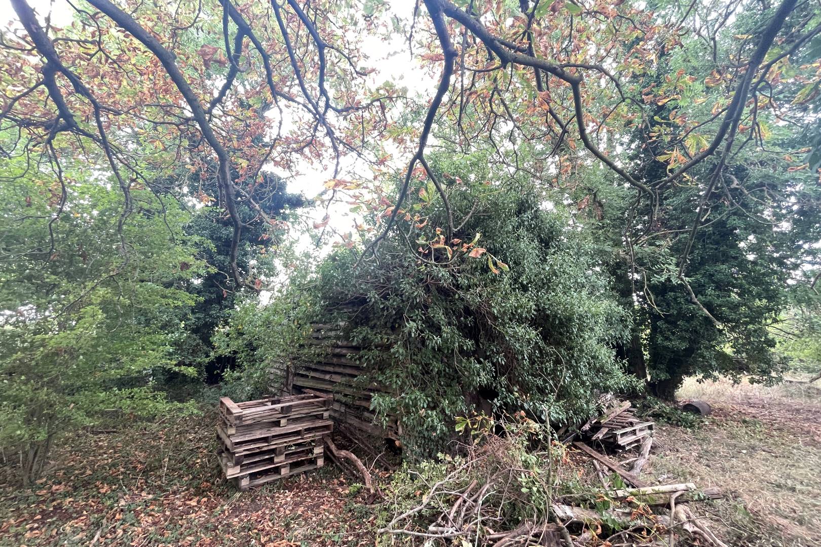 Land To The Side And Rear Of, 94 Cotton End Road, Wilstead, Bedford, MK45 3DD