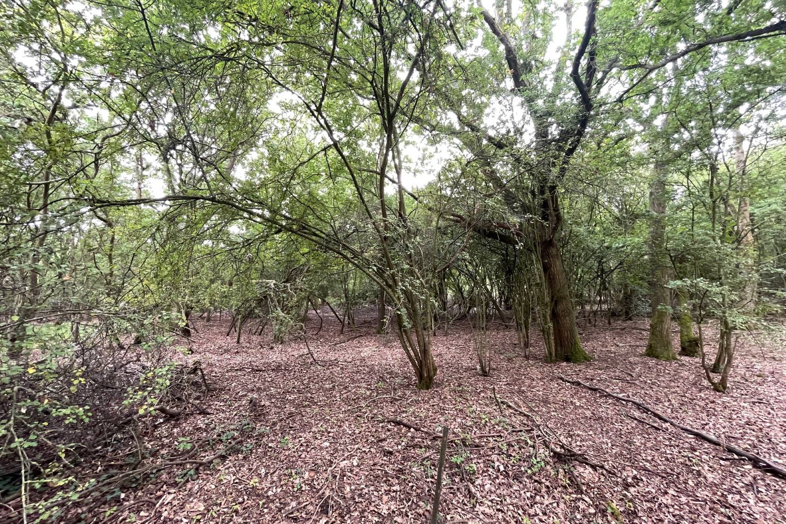 Land Opposite 153 Box End Road, Bromham, Bedford, MK43 8LU