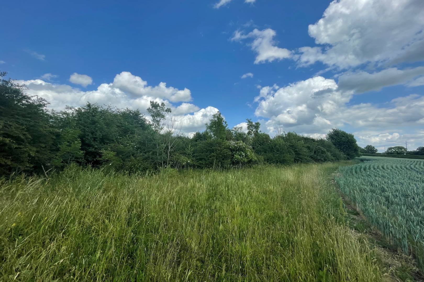 Land on the south side of Highfield Road, Oakley, Bedford, MK43 7TA