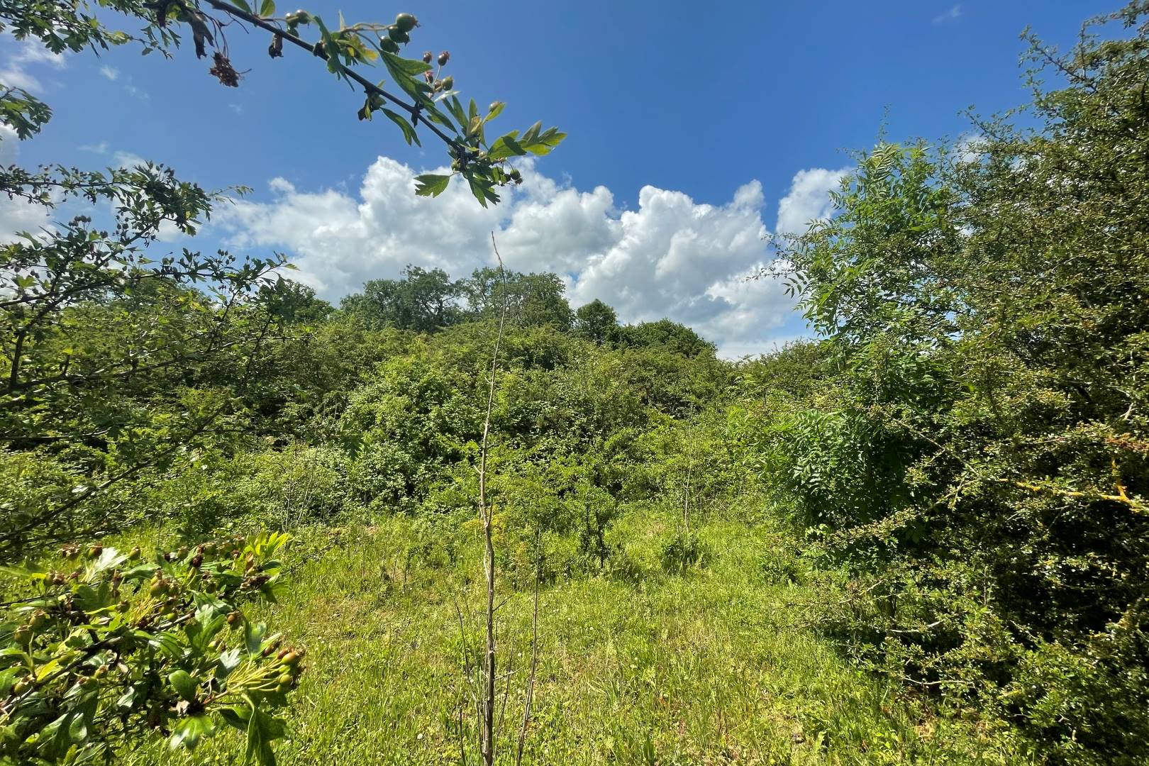 Land on the south side of Highfield Road, Oakley, Bedford, MK43 7TA