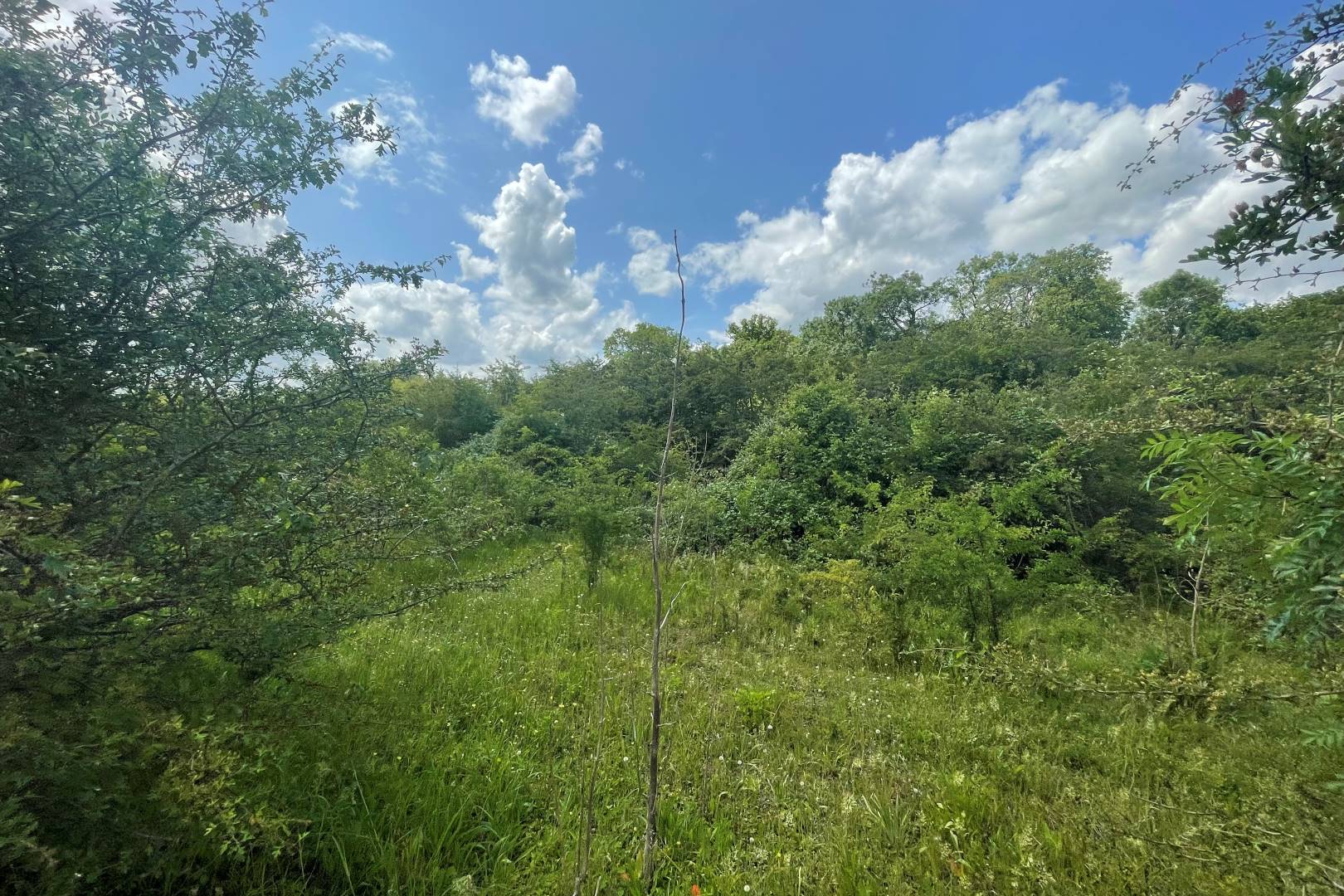 Land on the south side of Highfield Road, Oakley, Bedford, MK43 7TA