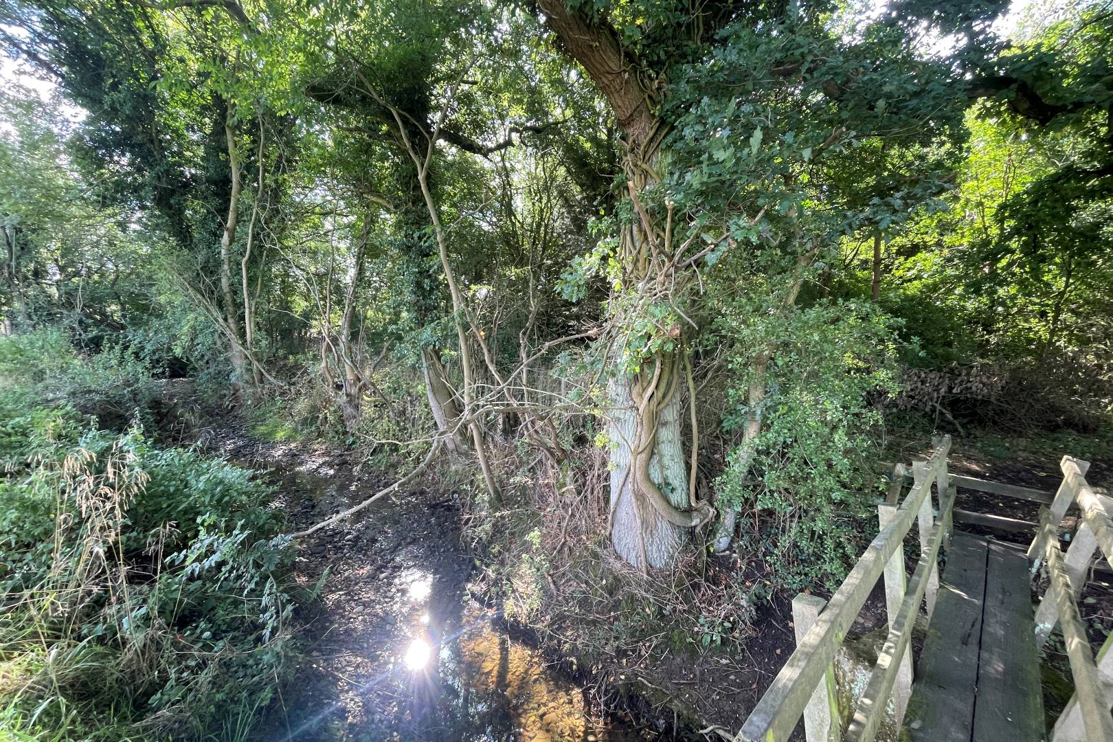 Barns, Land and Wood, Nash Road, Thornborough, Buckingham, MK18 2DP