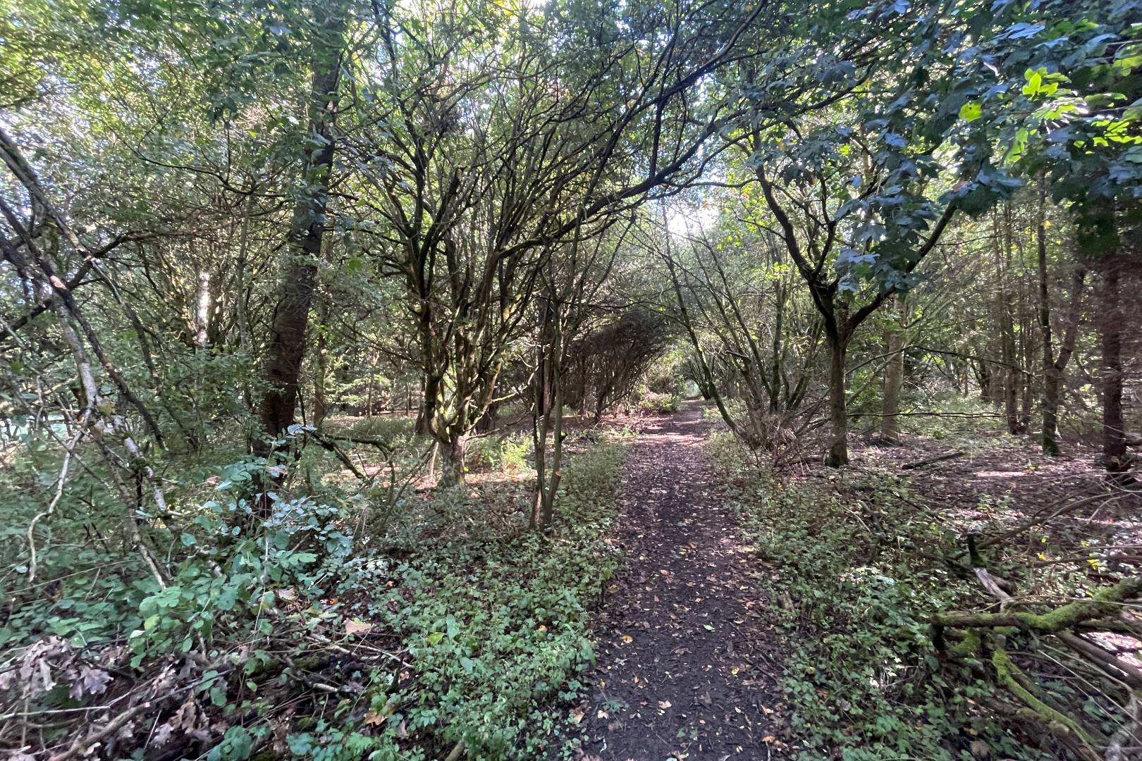 Barns, Land and Wood, Nash Road, Thornborough, Buckingham, MK18 2DP