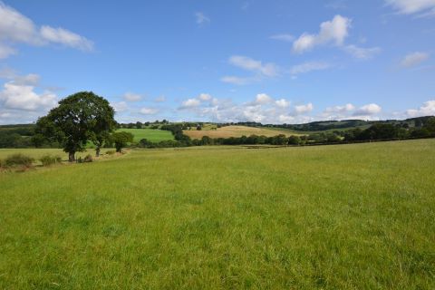 Property for auction in Dorset)