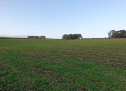 Property for auction in Derbyshire)
