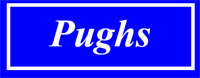 Pughs company logo