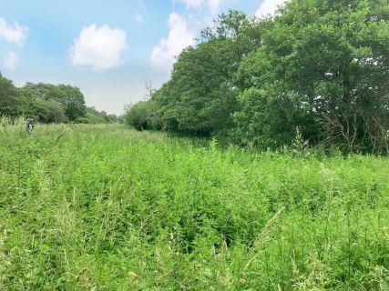 Property for auction in Somerset)