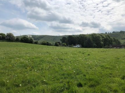 Property for auction in Wiltshire)