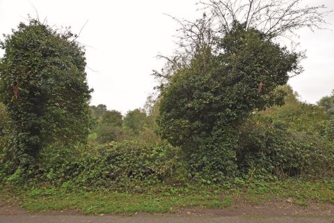 Property for auction in Hampshire)