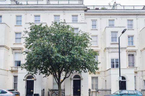 Property for auction in London)