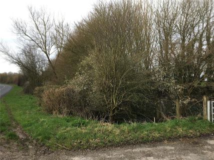 Property for auction in Somerset)