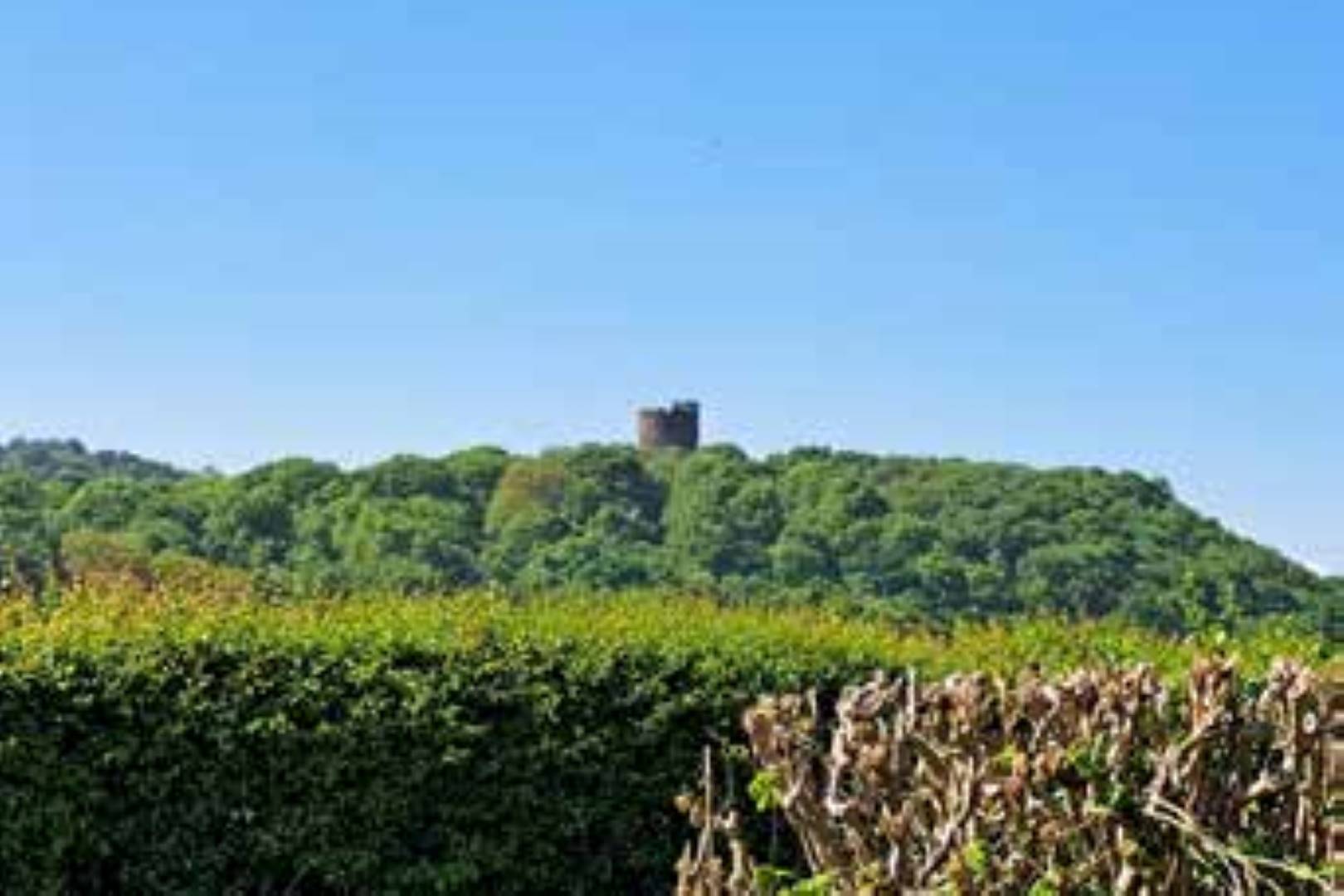 Ivy Cottage, Peckforton Road, Beeston, Tarporley, CW6 9TR