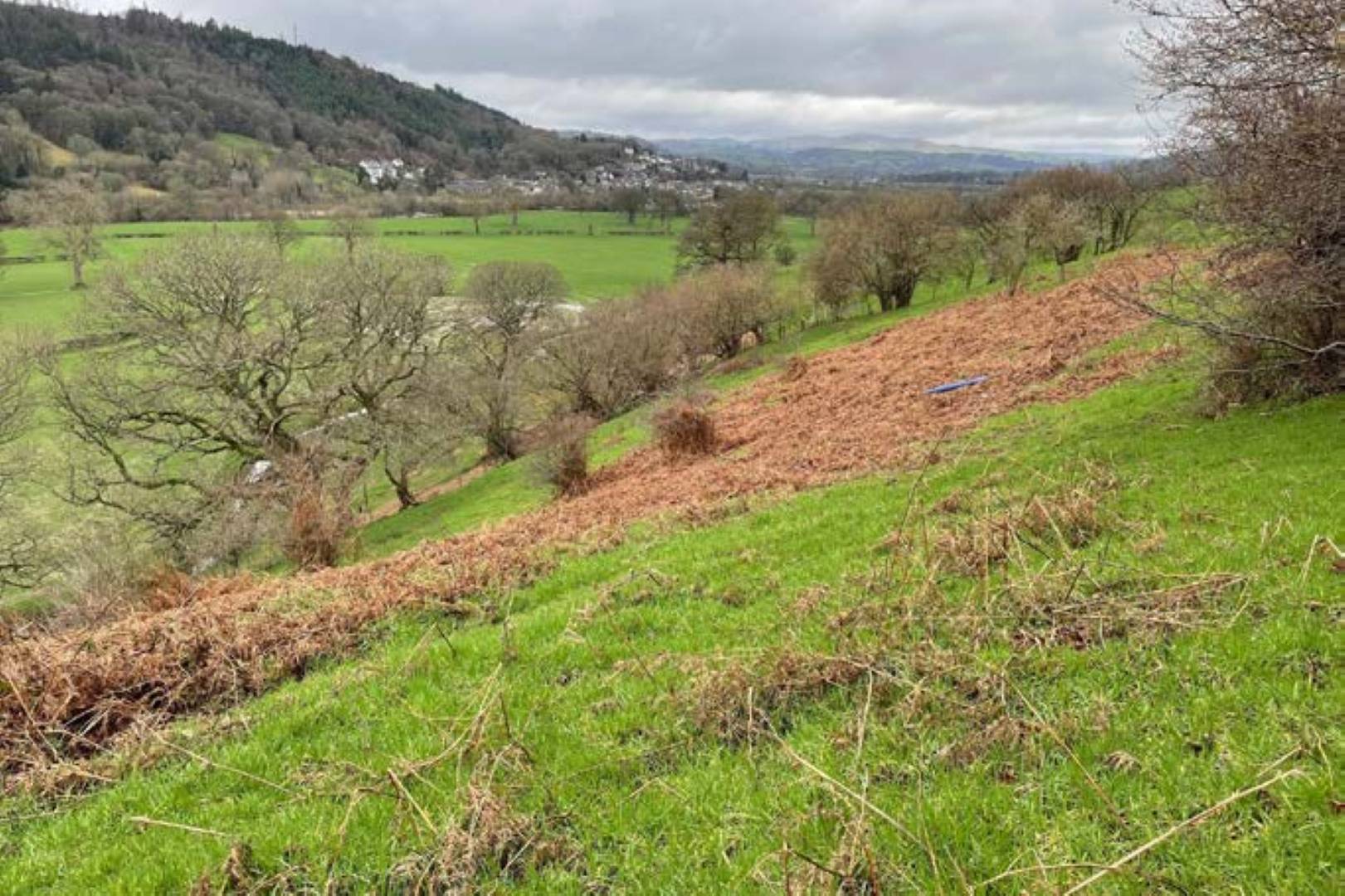 1.07 acres (0.43 ha) Land Lying to the West of Berwyn, Corwen, LL21 9HU