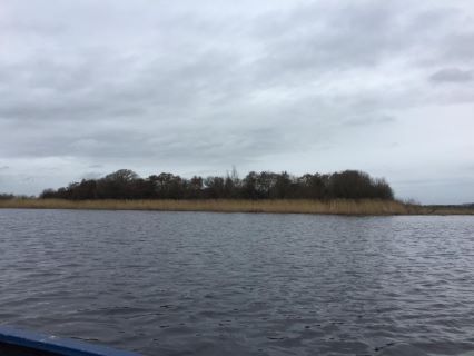 Property for auction in County Fermanagh)
