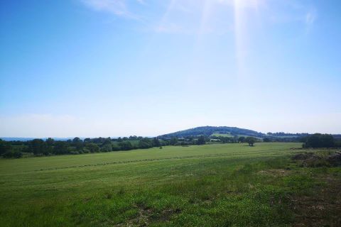 Property for auction in Dorset)