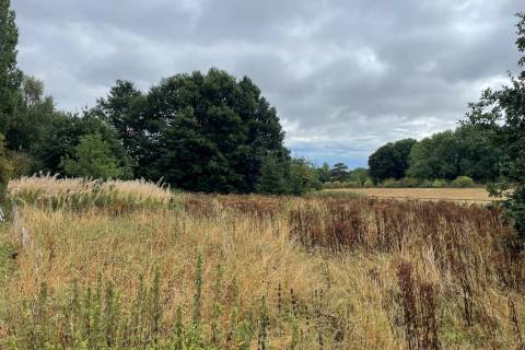 Property for auction in Kent