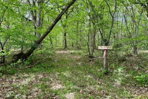 Property for auction in Kent