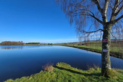 Property for auction in Renfrewshire