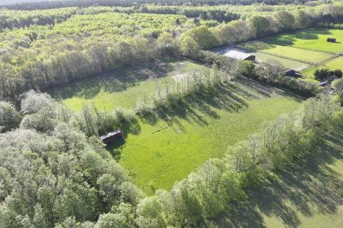 Property for auction in East Sussex