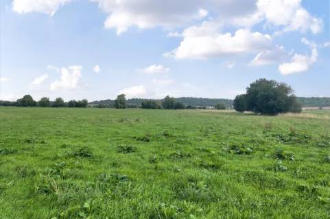 Property for auction in Somerset