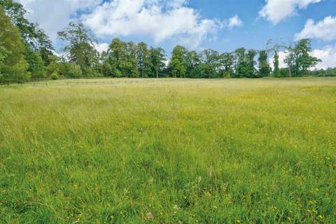 Property for auction in West Midlands
