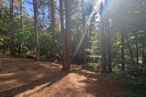 Property for auction in Surrey