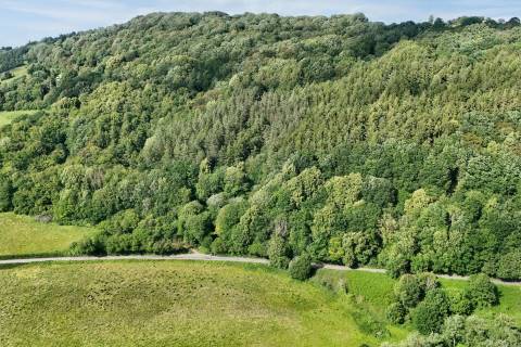 Property for auction in Gwent