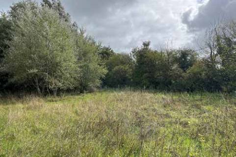 Property for auction in Dorset