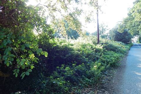 Property for auction in Norfolk