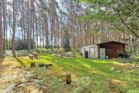 Property for auction in Norfolk