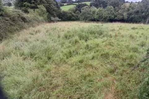 Property for auction in Somerset