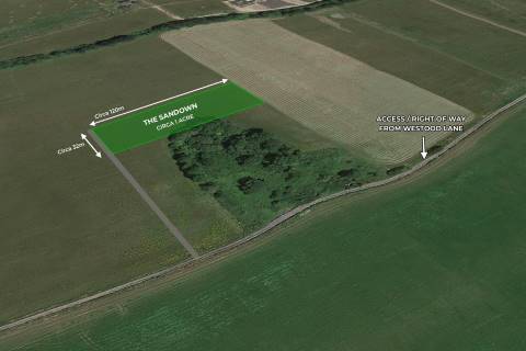 Property for auction in Surrey