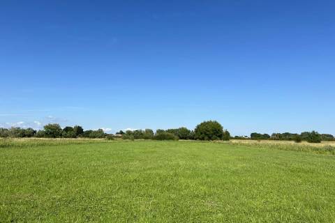 Property for auction in Somerset