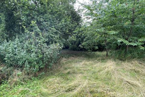 Property for auction in Buckinghamshire