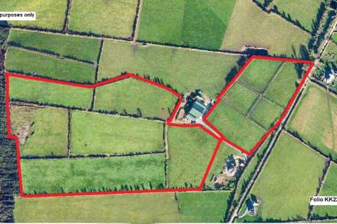 Property for auction in County Kilkenny