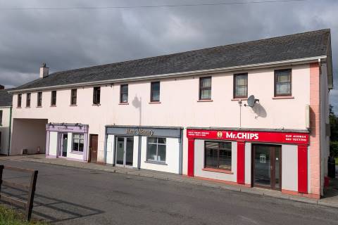 Property for auction in County Leitrim