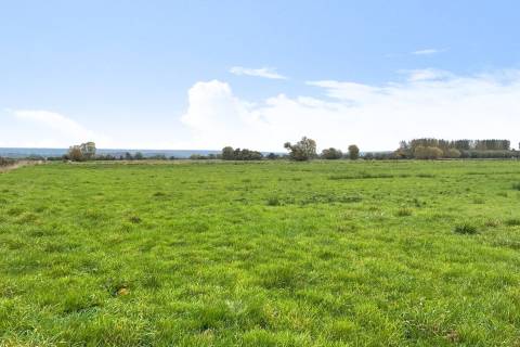 Property for auction in Somerset