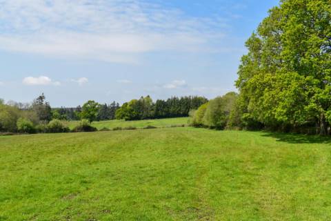 Property for auction in Hampshire