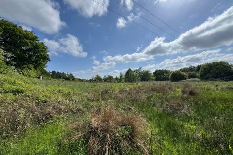 Property for auction in Norfolk