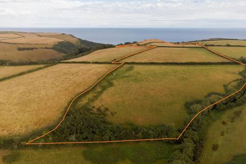 Property for auction in Devon