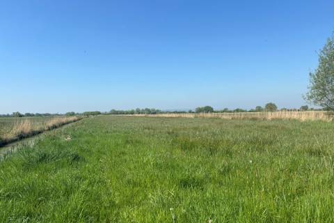 Property for auction in Somerset