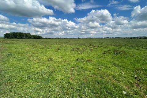 Property for auction in Somerset