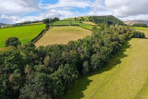 Property for auction in Powys
