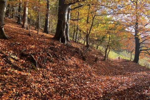 Property for auction in Wiltshire