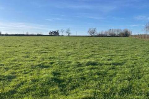 Property for auction in Somerset