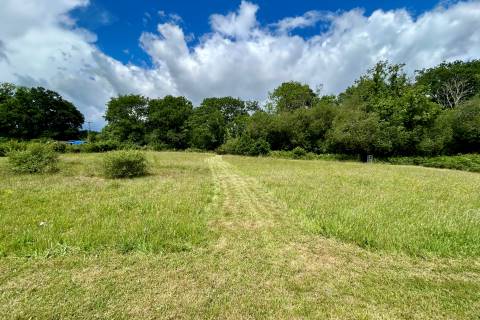 Property for auction in Dorset